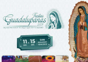fiestas guadalupanas 2024